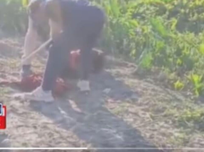 নকুলের দাবির পর, উত্তেজিত জনতা অসুস্থ শিশুটিকে সারিয়ে দেওয়ার দাবিতে ওই পরিবারের উপর চড়াও হয়৷ যখন জানতে পারে যে ওরা কিছু করতে পারবে না, তখন সম্মিলিত ভাবে ওঁরাও পরিবারকে পেটানো হয়, তারপরে গায়ে কেরোসিন ঢেলে পুড়িয়ে দেওয়া হয়৷ 