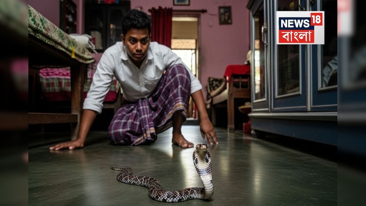 ঘরের মধ্যে হঠাৎ সাপ…দেখলে প্রথমেই কী করবেন? স্টেপ বাই স্টেপ জেনে রাখুন, খুব সহজ