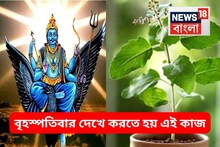 তুলসী দিয়ে কাজ, শনির দৃষ্টি দূরে রাখে...দূর হয় রাহু-কেতুর দোষ! করতে হয় বৃহস্পতিবার দেখে