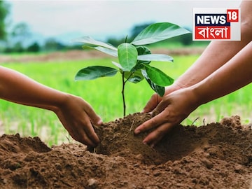 News18