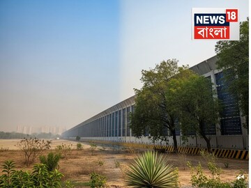 প্রতীকী ছবি, AI Genarated