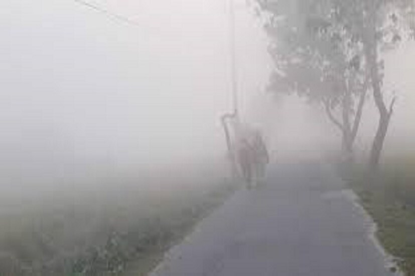 NOAA-র সূত্রে আরও জানানো হয়েছে সেপ্টেম্বর থেকে নভেম্বরের মধ্যে লাল নিনার বিকশিত হওয়ার সম্ভাবনা ৫৩%, শেষ পর্যন্ত ৫৮% পর্যন্ত পোঁছতে পারে ৷ প্রতীকী ছবি ৷