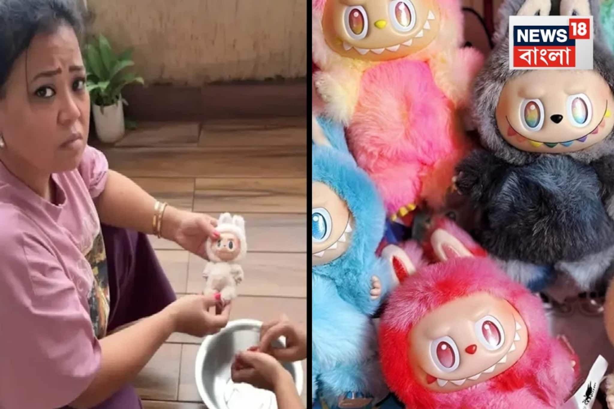 লাবুবু ঘরে আনতেই ছেলের 'অদ্ভুত' আচরণ! কমেডিয়ান ভারতী যা দেখলেন...পুড়ছেই না সেই ভয়-পুতুল!