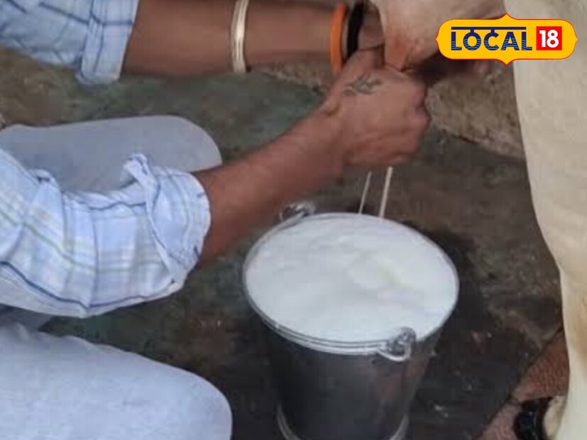 এর জন্য আপনার লাগবে মেথি বীজ, মৌরি, সেলেরি, কালো লবণ, শুকনো আমলকির গুঁড়ো, হলুদ এবং গুড়। প্রথমে মেথি, মৌরি এবং সেলেরি হালকা করে ভেজে নিন। তারপর ঠান্ডা করে পিষে নিন।