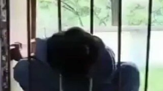 এইভাবেই মাথা আটকে যায় ওই ছাত্রীর এইভাবেই মাথা আটকে যায় ওই ছাত্রীর