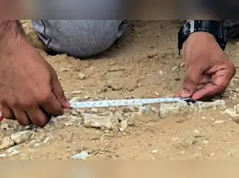 উদ্ধার হওয়া জীবাশ্মের ভিডিও সোশ্যাল মিডিয়ায় ভাইরাল। 