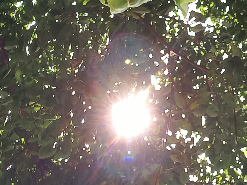 বাঁকুড়া জেলায় বায়ুর গতিবেগ থাকবে ৩০-৪০ কিলোমিটার প্রতি ঘণ্টায়। একই পূর্বাভাস পুরুলিয়া জেলায়। বাঁকুড়ার পার্শ্ববর্তী জেলা পুরুলিয়া, রাঢ় বাংলার মুখ্য জেলাগুলির মধ্যে অন্যতম হল এই জেলা। বাঁকুড়া, পুরুলিয়ার আবহাওয়ার মধ্যে খুব একটা পার্থক্য নেই। ১৪ তারিখ থেকে ১৫ তারিখ থাকছে বিক্ষিপ্ত বৃষ্টিপাতের সম্ভাবনা, এছাড়াও আলিপুর আবহাওয়া দফতর জানিয়েছে বজ্রবিদ্যুৎ-সহ গোটা জেলা জুড়ে থাকছে বৃষ্টিপাতের সম্ভাবনা জারি থাকবে সাতদিন।