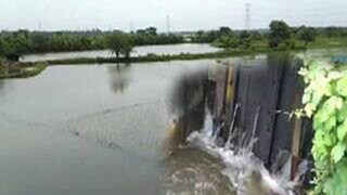 কোমর সম্মান জল দেগঙ্গায়