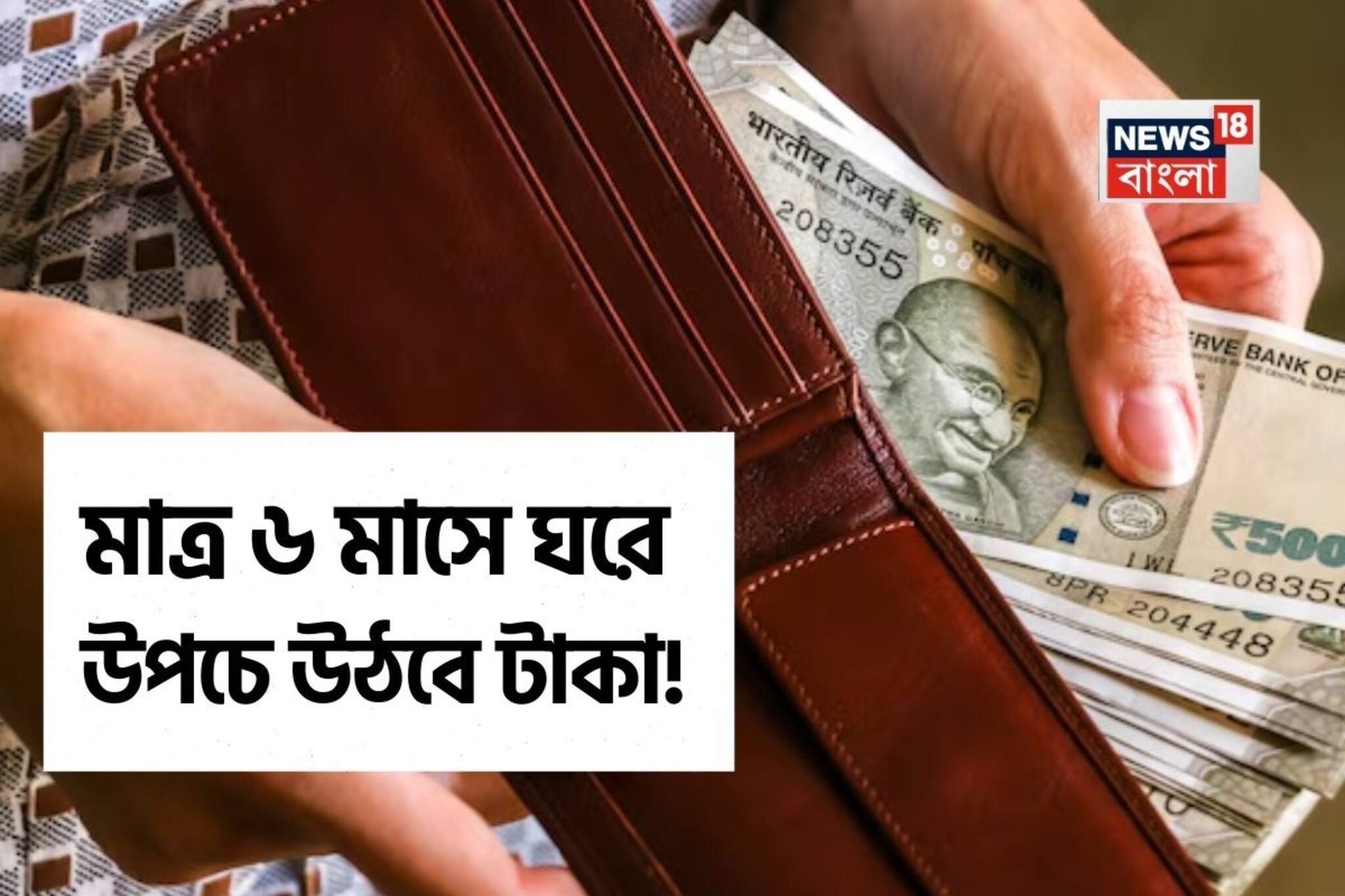 মাত্র ৬ মাসে ঘরে উপচে উঠবে টাকা, খালি জমিতে এই বিশেষ ফুল চাষ করুন