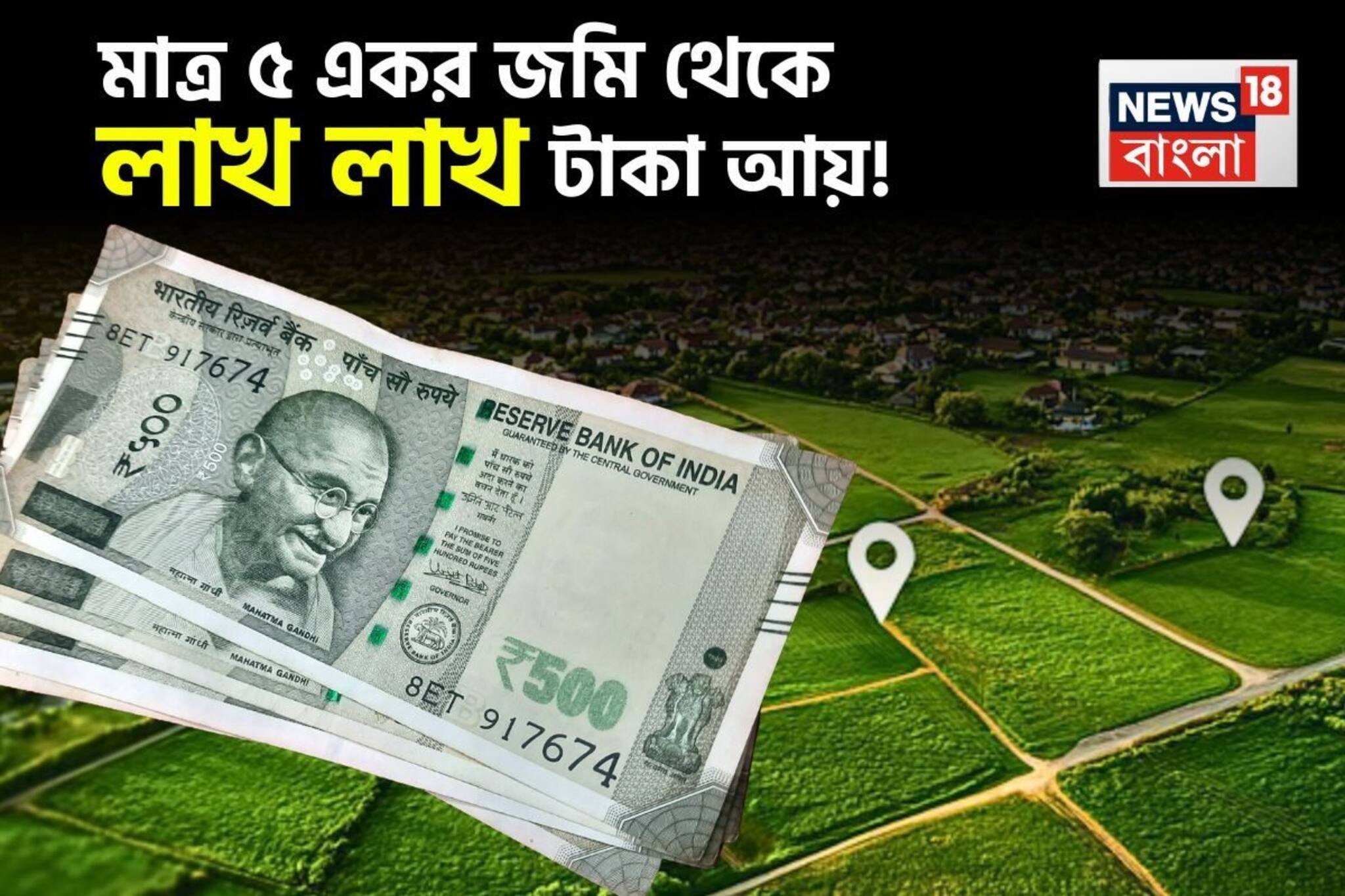 মাত্র ৫ একর জমি থেকে লাখ লাখ টাকা আয় করছেন কৃষকরা, জেনে নিন কীভাবে