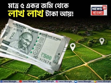 মাত্র ৫ একর জমি থেকে লাখ লাখ টাকা আয় করছেন কৃষকরা, জেনে নিন কীভাবে