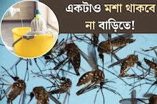 ঝাঁকে ঝাঁকে মশা? ঘর মোছার জলে মেশান এই জিনিস, একটাও মশা থাকবে না বাড়িতে