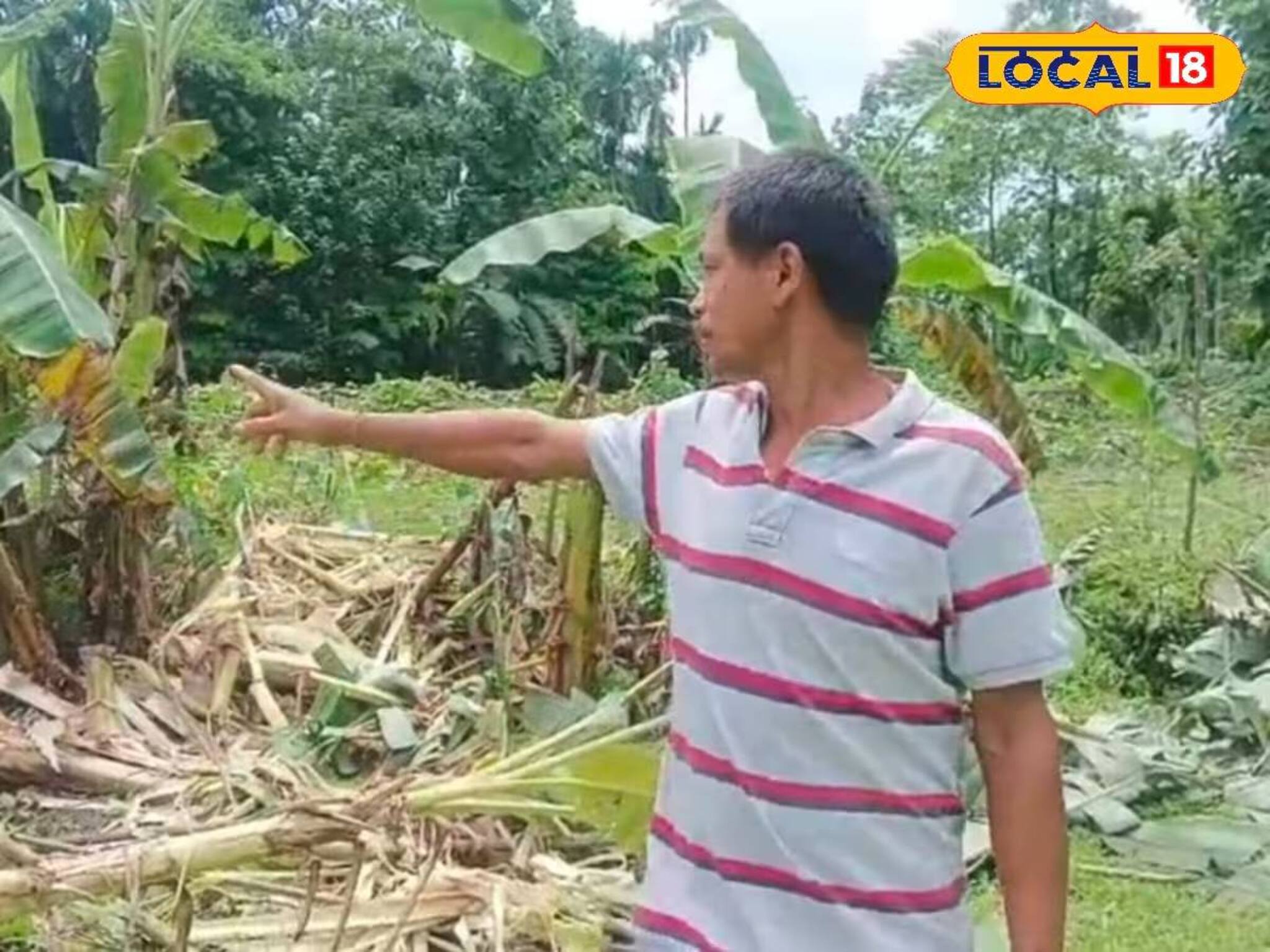 গভীর রাতে তাণ্ডব শুরু, চোখের নিমেষে তছনছ হয়ে গেল সব! এলাকাজুড়ে শুধু হাহাকার
