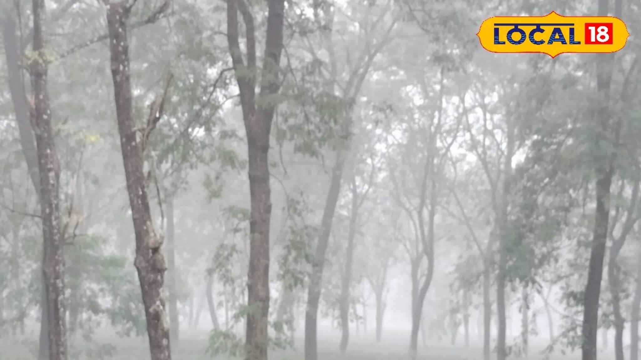 রাজ‍্যে টানা চলবে বজ্রবিদ্যুৎ, ঝড়, বৃষ্টি! দুর্যোগের মেঘ ঘনাচ্ছে