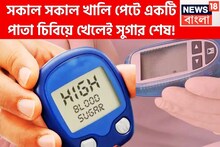 ফাইবারে ঠাসা ফলের পাতাতেই সুগারের ছুটি! সকালে খালি পেটে খেলেই ডায়াবেটিস থাকবে পায়ের নীচে