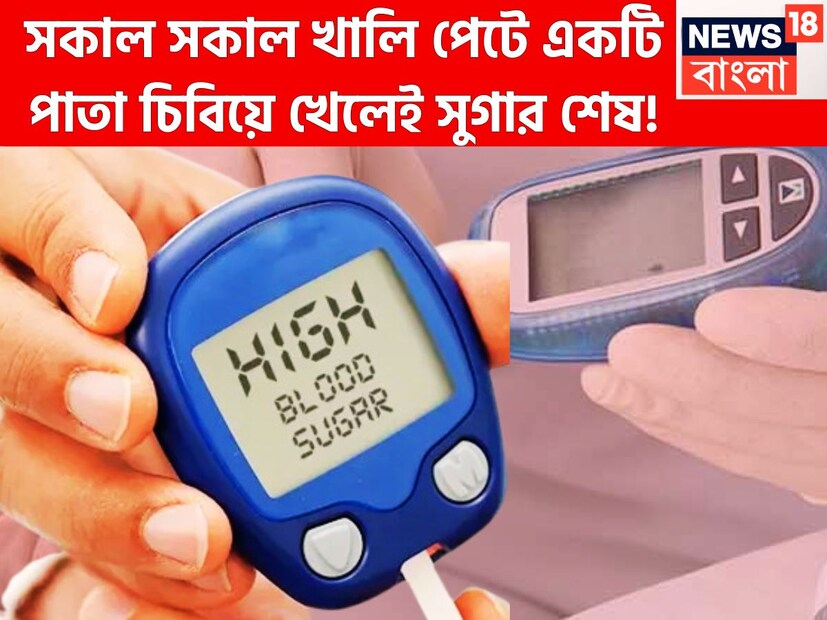 ডায়াবেটিস এমন এক রোগ যা শুধুই বয়স্কদের ছেঁকে ধরবে তাই নয়, যে কোনও বয়সেই ডায়াবেটিস হতে পারে ৷ খারাপ খাবার দাবার, জীবনশৈলী পরিমিত খাবার ৷ প্রতীকী ছবি 