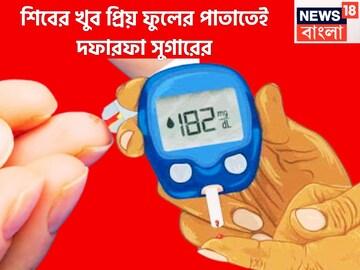 শিবের প্রিয় ফুলের পাতাতেই সুগার শেষ! শরীর থেকে ছুঁড়ে ফেলবে ডায়াবেটিসকে