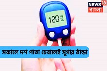 সুগারে ১০টি পাতাই যথেষ্ট! ডায়াবেটিসে রামবাণ, সারাদিন এনার্জিতে ভরপুর শরীর, ঘরোয়া টোটকায়