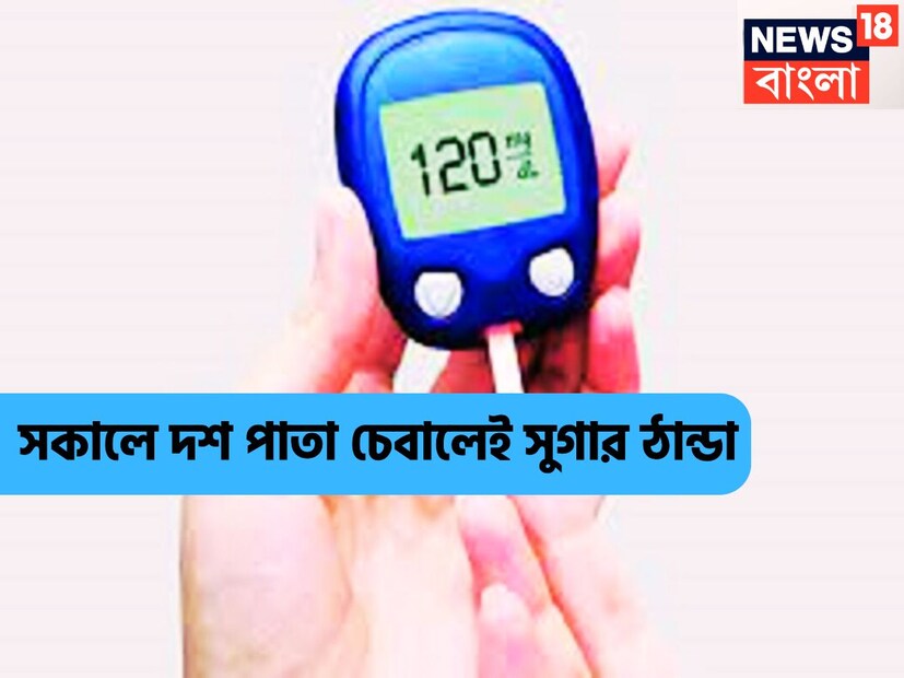 খালি পেটে সুগার নিয়ন্ত্রণে রাখাটা সব থেকে জরুরি ৷ ডায়াবেটিস এমন একটি রোগ যা কখনই সারেনা, নিয়ন্ত্রিত হতে পারে ৷ লাইফস্টাইল খারা, খাবারের মান খারাপ, বিশ্রামের অভাব ৷ প্রতীকী ছবি ৷