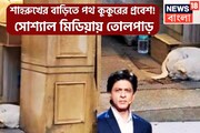 শাহরুখের বাড়িতে আশ্রয় নিতে পথ কুকুর, বিরাট পদক্ষেপ কিং খানের, তোলপাড় সোশ্যাল মিডিয়া