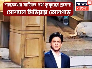মন্নতের রক্ষণাবেক্ষণ চলছে সেই সময়েই একটি পথ কুকুর বাড়িতে ঢুকে পড়াতেই ভিডিও ভাইরাল হয়েছে ৷  ছবি সৌজন্যে ইনস্টাগ্রাম ৷