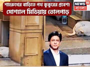 Shahrukh Khan Viral Video: শাহরুখের বাড়িতে আশ্রয় নিতে পথ কুকুর, বিরাট পদক্ষেপ কিং খানের, তোলপাড় সোশ্যাল মিডিয়া