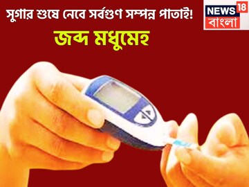 এক পাতাতেই সাফ সুগার! মধুমেহর যম স্বাদে তেতো হলেও অমৃতের সমান, জব্দ মধুমেহ