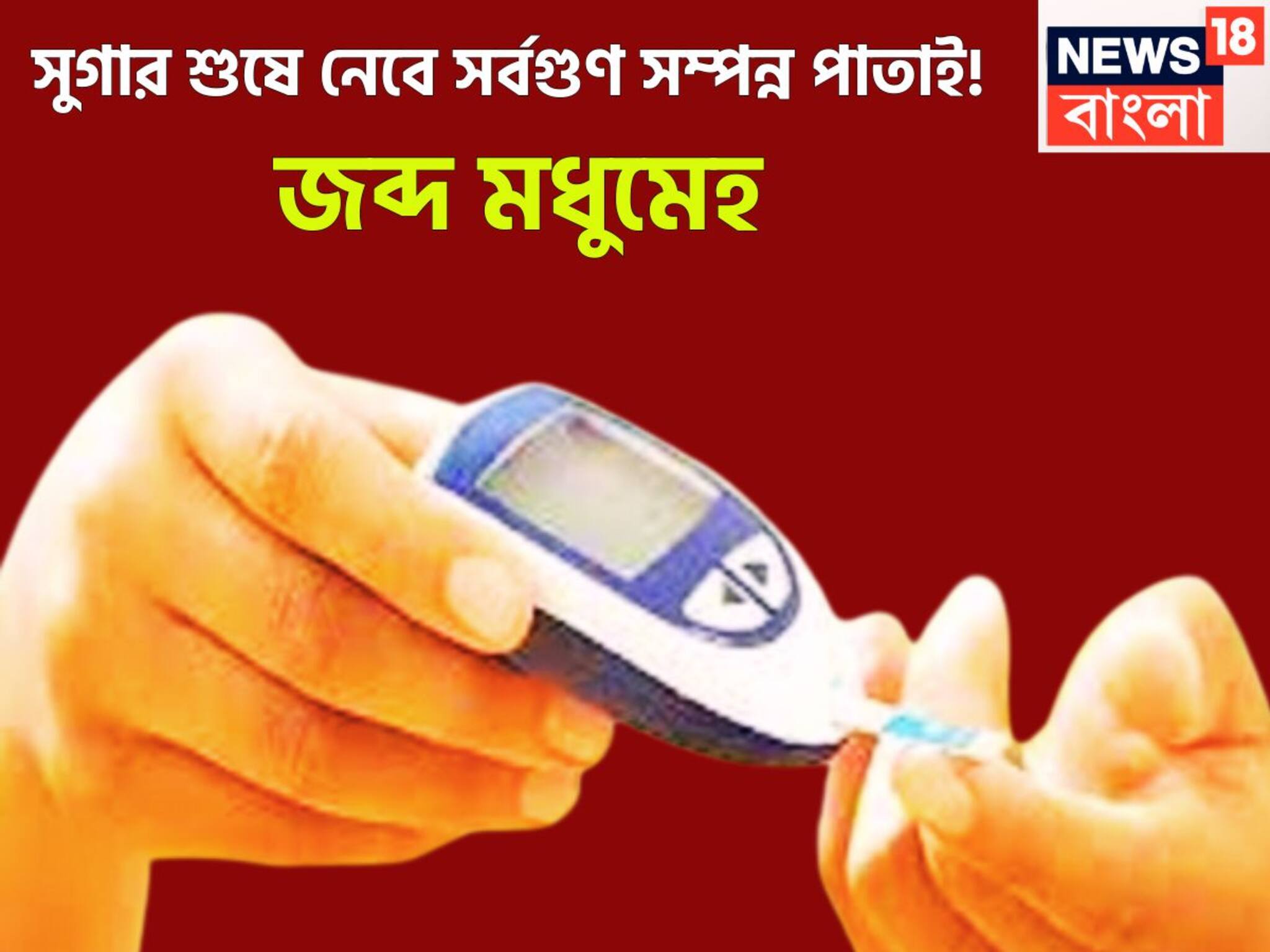 High Blood Sugar Control Tips: এক পাতাতেই সাফ সুগার! মধুমেহর যম স্বাদে তেতো হলেও অমৃতের সমান, জব্দ মধুমেহ