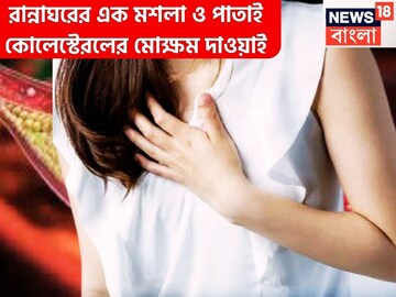 রান্নাঘরের এক মশলা ও পাতায় কোলেস্টেরলের দমবন্ধ! এনার্জিতে ভরপুর শরীর