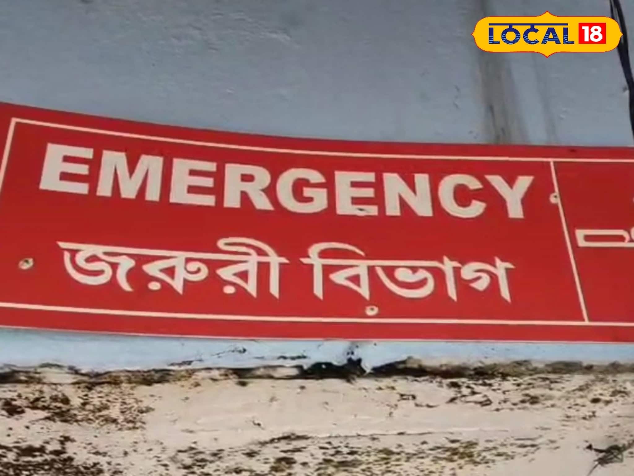 মাঠে গরু চড়াতে গিয়ে সর্বনাশ! বৃষ্টির সঙ্গে নেমে এল সাক্ষাৎ 'যমদূত'