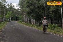 বাঁকুড়া ভ্রমণের অন্যতম আকর্ষণ এই জঙ্গল! নিভৃতে সময় কাটিয়ে আসুন