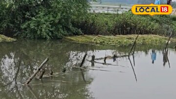 পাটাতনের