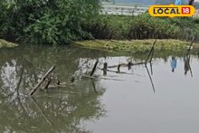 মাছ চাষের জেরে ক্ষতিগ্রস্ত কৃষিকাজ! নুন আনতে পান্তা ফুরানোর অবস্থা চাষিদের