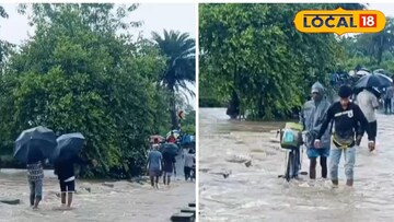 বেগুনকোদর