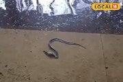 হাসপাতালে সাপ, জলমগ্ন বিভিন্ন বিভাগ, তার মাঝে চলছে চিকিৎসা! ভয়াবহ দৃশ্য রাজ্যের 'এই' জেলায়
