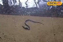 হাসপাতালে সাপ, জলমগ্ন বিভিন্ন বিভাগ, তার মাঝে চলছে চিকিৎসা! ভয়াবহ দৃশ্য রাজ্যের 'এই' জেলায়