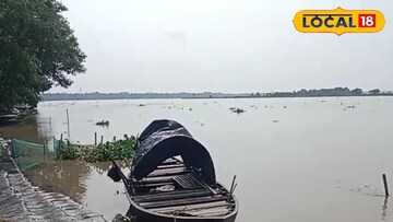 বেড়েছে