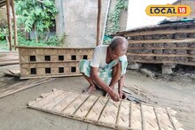 শুধু মানুষ নয়, এবার পাখিরাও থাকবে দোতলা বাড়িতে!