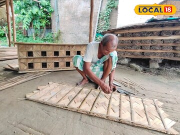 শুধু মানুষ নয়, এবার পাখিরাও থাকবে দোতলা বাড়িতে! ‘বার্ড হাউস’ বানিয়ে হাজার হাজার টাকা রোজগার