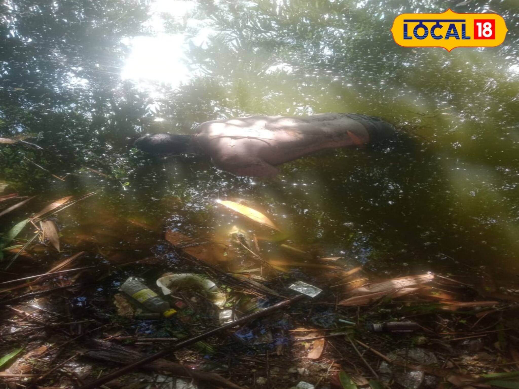 পুকুরে ওটা কী ভাসছে? পচা দেহ নাকি...!