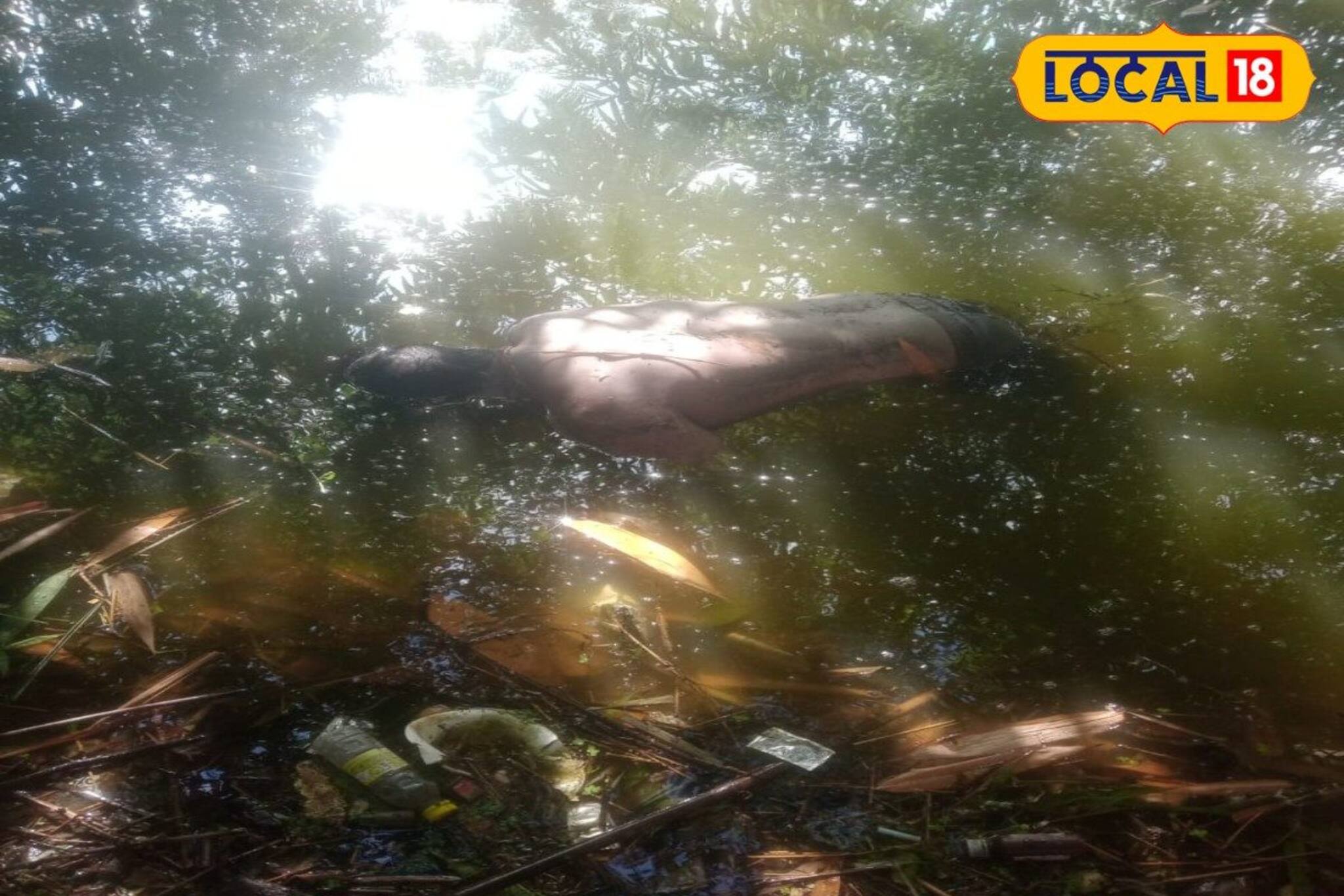 বাঁধানো নেই পুকুর পাড়, তাতেই বিপত্তি! নাবালকের মর্মান্তিক পরিণতি