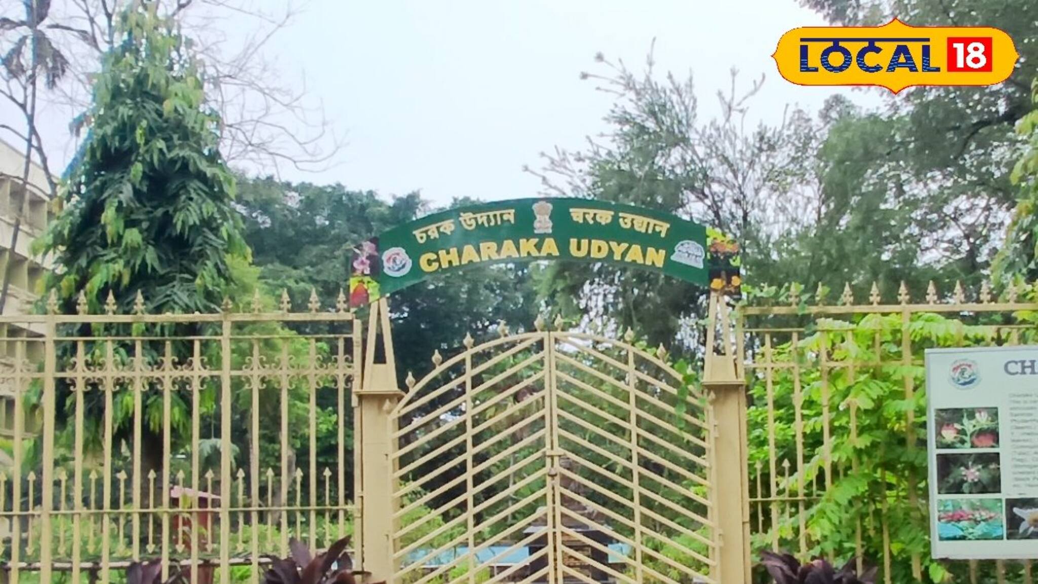 বোটানিক্যাল গার্ডেন যেন আস্ত গবেষণাগার! পর্যটনের পাশাপাশি 'বিরল' ভেষজ উদ্ভিদ সংরক্ষণ, নিজের চোখে দেখে আসুন চড়ক উদ্যান