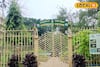 বোটানিক্যাল গার্ডেন যেন আস্ত গবেষণাগার! নিজের চোখে দেখে আসুন চড়ক উদ্যান