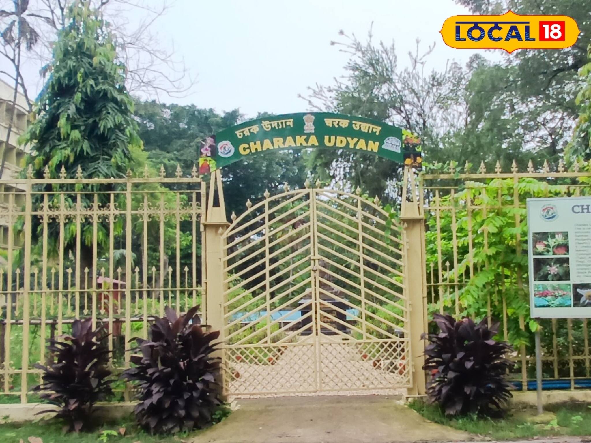 বোটানিক্যাল গার্ডেন যেন আস্ত গবেষণাগার! নিজের চোখে দেখে আসুন চড়ক উদ্যান