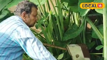 প্রাথমিক