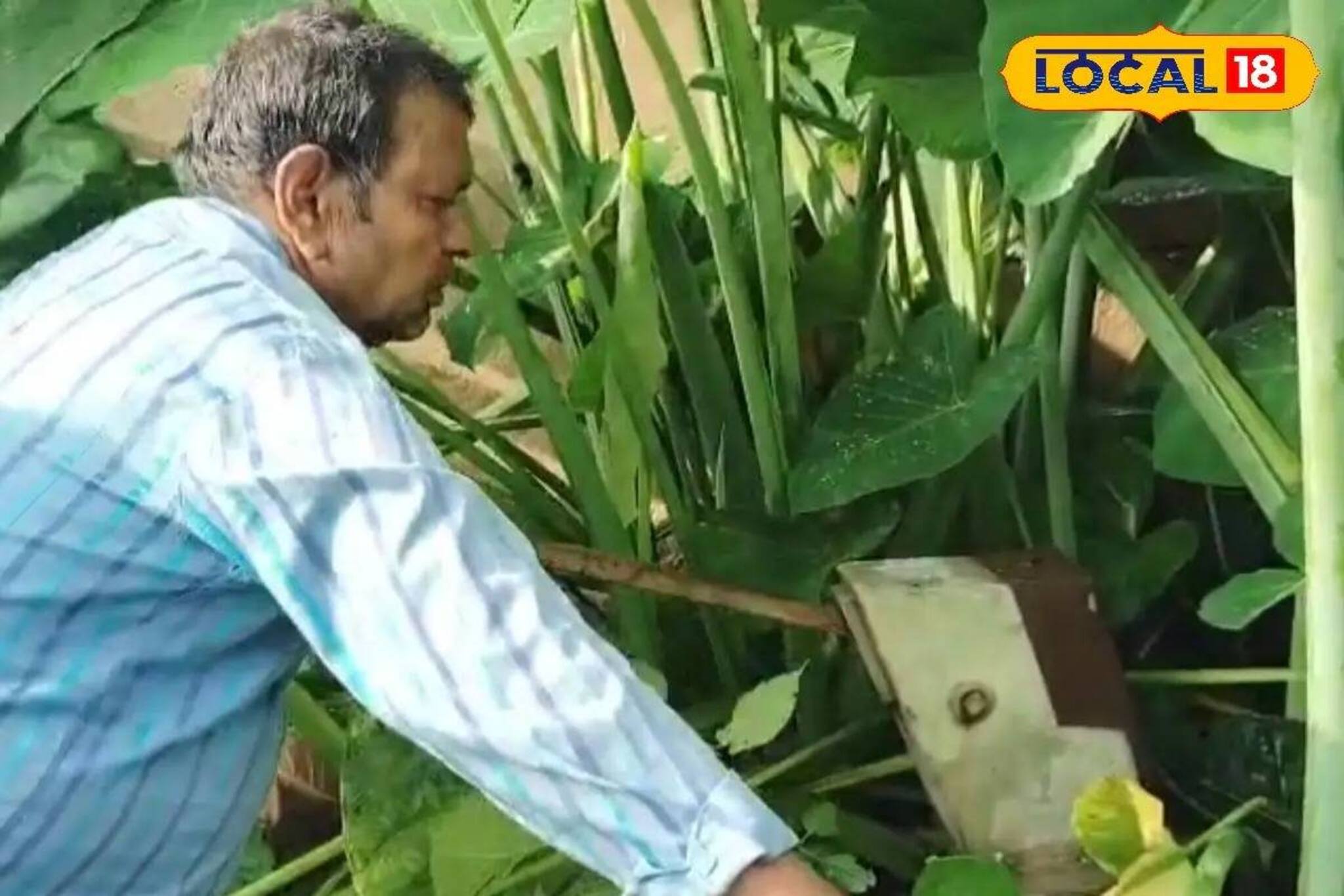 পানীয় জল-শৌচাগারের করুণ দশা, সাপের উপদ্রব! মুর্শিদাবাদের 'এই' স্কুলে যেতে চাইছে না পড়ুয়ারা