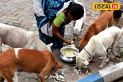 ভাত, মাছ আর...! পথকুকুরদের জন্য বিশেষ মেনু! খাওয়ানোর জায়গা, সময় নিয়েও বড় সিদ্ধান্ত পুরসভার