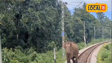 ট্রেনের