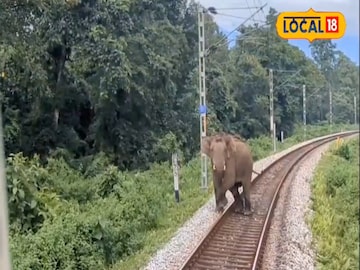ট্রেনের