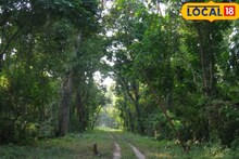 এবার পুজোয়ে জঙ্গলে ঘুরে আসুন,আকর্ষণীয় প্ল্যান রয়েছে,ফ্যামিলি ট্যুরের জন্য 'পারফেক্ট'